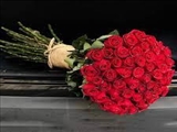 تبریک آغاز سال تحصیلی جدید